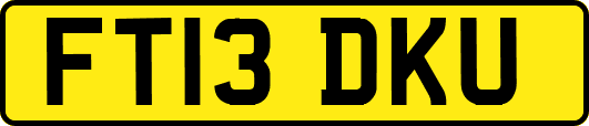 FT13DKU