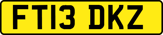 FT13DKZ