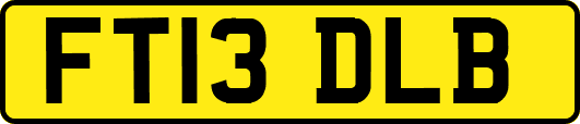 FT13DLB