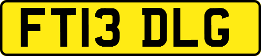 FT13DLG