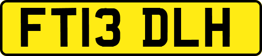 FT13DLH