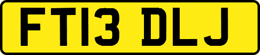 FT13DLJ