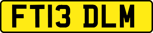 FT13DLM