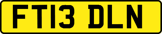 FT13DLN
