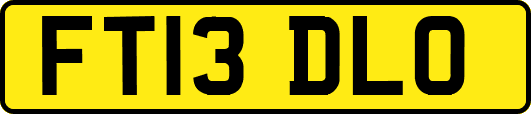 FT13DLO