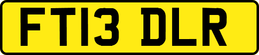 FT13DLR