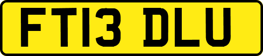 FT13DLU