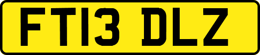 FT13DLZ