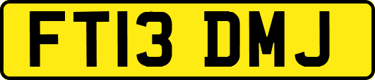 FT13DMJ