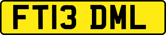 FT13DML
