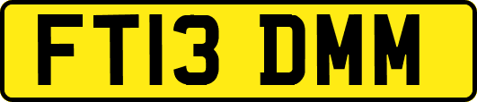 FT13DMM