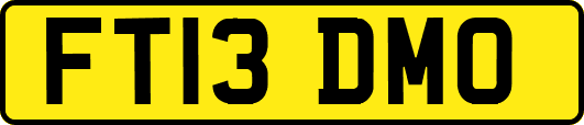 FT13DMO