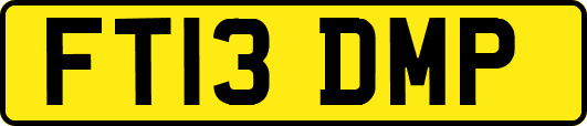 FT13DMP