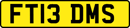 FT13DMS