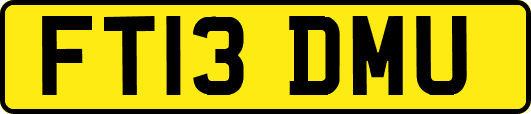 FT13DMU
