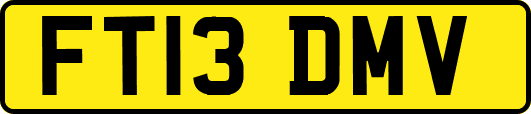 FT13DMV