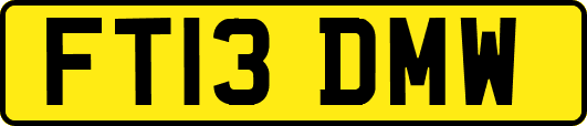 FT13DMW