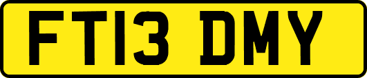 FT13DMY