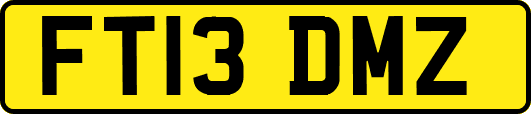 FT13DMZ