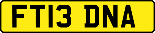 FT13DNA