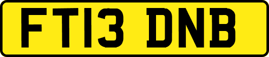 FT13DNB