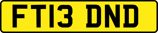 FT13DND