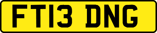 FT13DNG