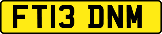 FT13DNM