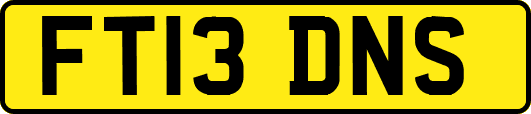 FT13DNS