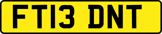 FT13DNT