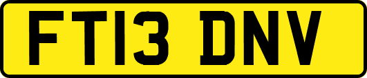 FT13DNV