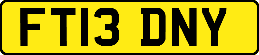 FT13DNY