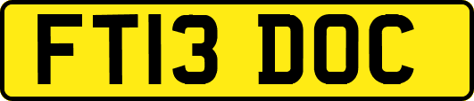 FT13DOC