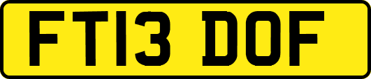 FT13DOF
