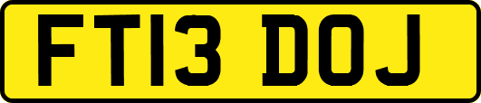 FT13DOJ