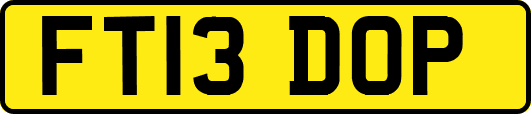 FT13DOP