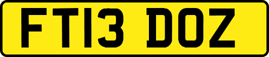 FT13DOZ