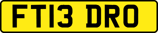 FT13DRO