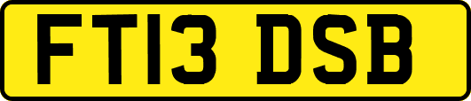 FT13DSB