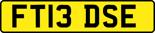 FT13DSE