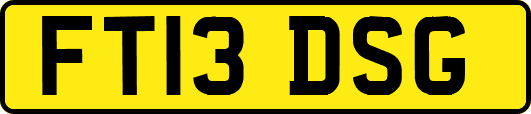 FT13DSG