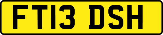 FT13DSH