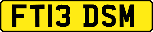 FT13DSM