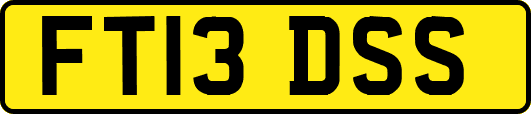 FT13DSS