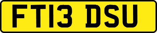 FT13DSU