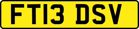 FT13DSV