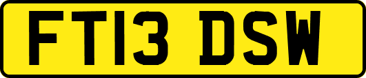 FT13DSW