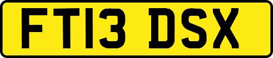FT13DSX