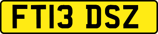 FT13DSZ