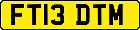 FT13DTM